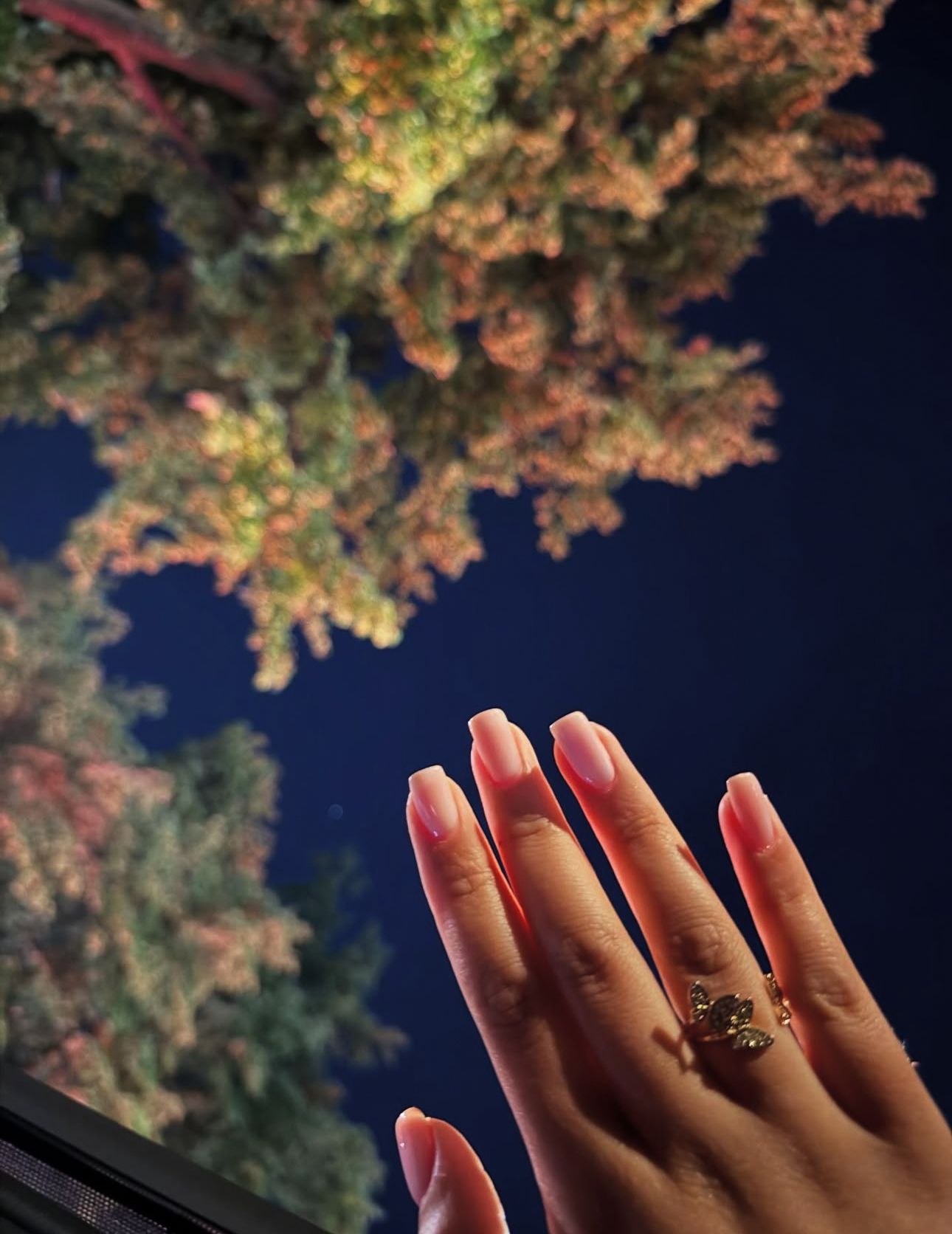 Russische manicure en professionele nagelbehandelingen Capelle aan den IJssel